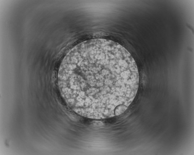 X0000103480519200810241041