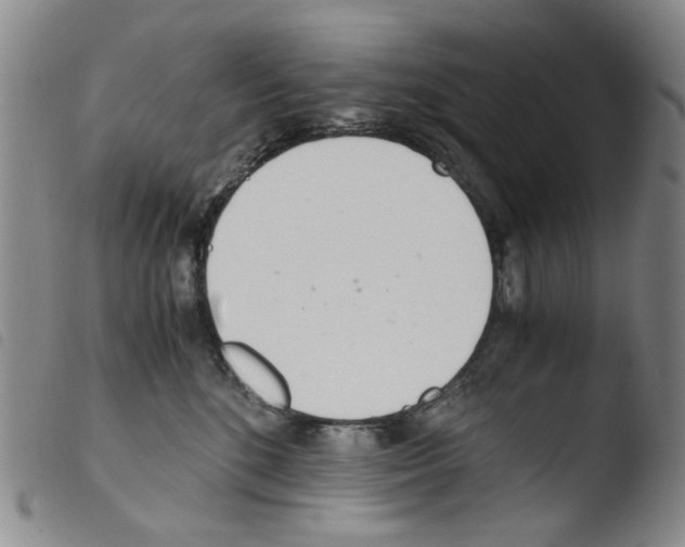 X0000103480520200810241041