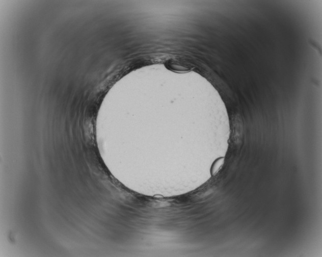 X0000103480523200810241041