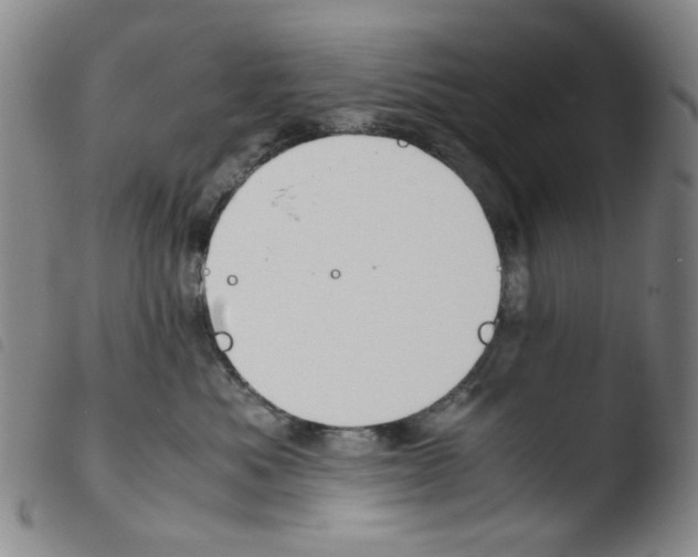 X0000103480525200810241041