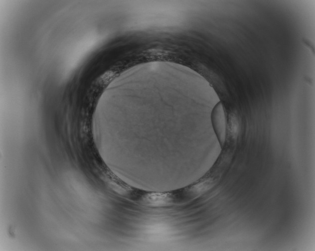 X0000103480526200810241041