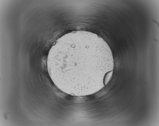X0000103480527200810241041