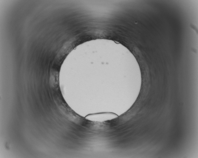 X0000103480528200810241041