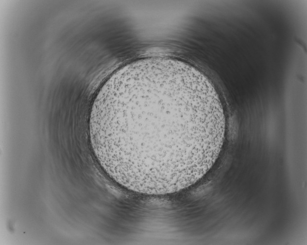 X0000103480529200810241040