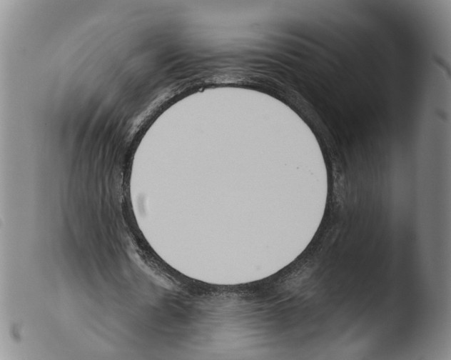 X0000103480530200810241040