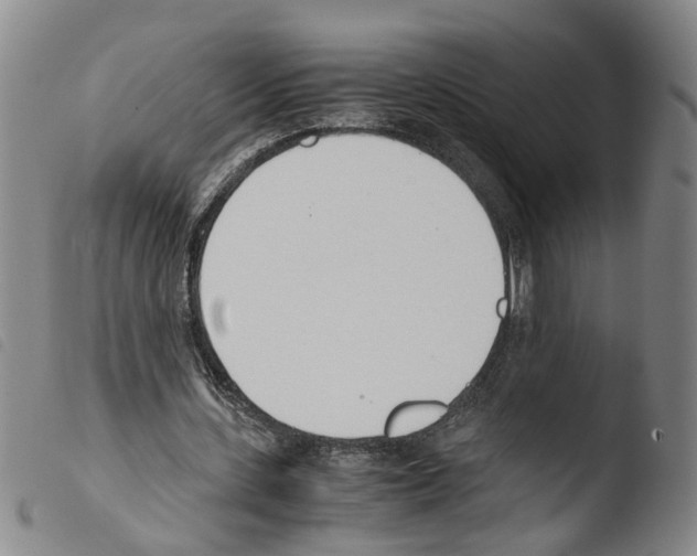 X0000103480531200810241040