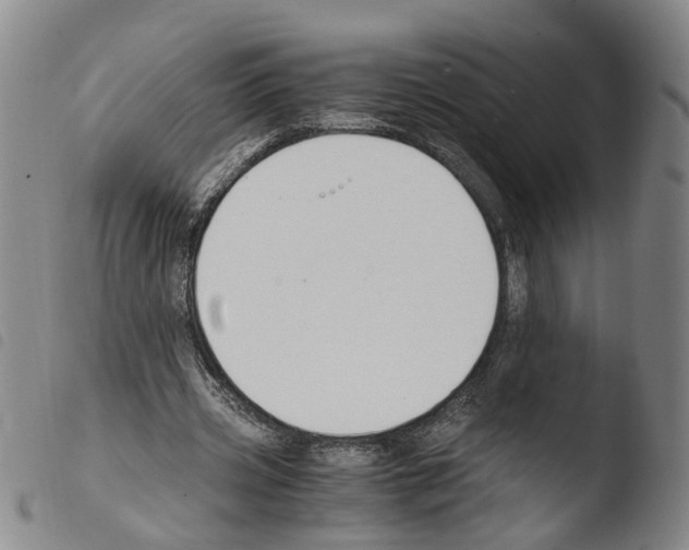 X0000103480533200810241040