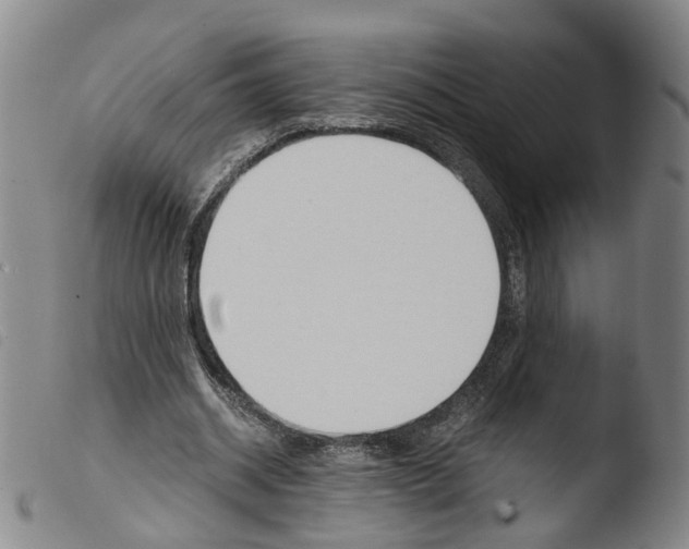 X0000103480534200810241040