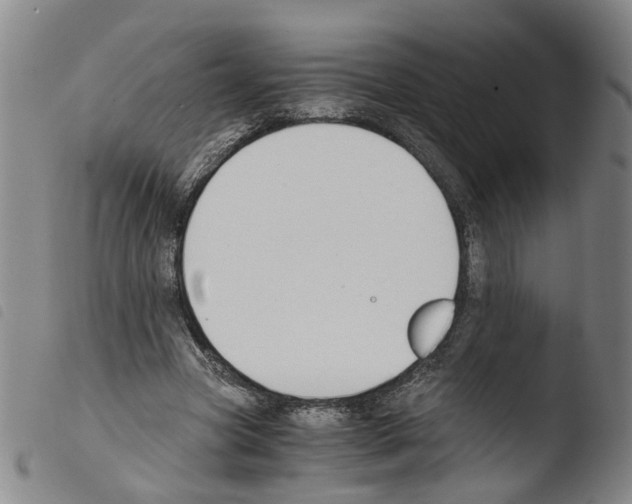 X0000103480537200810241040