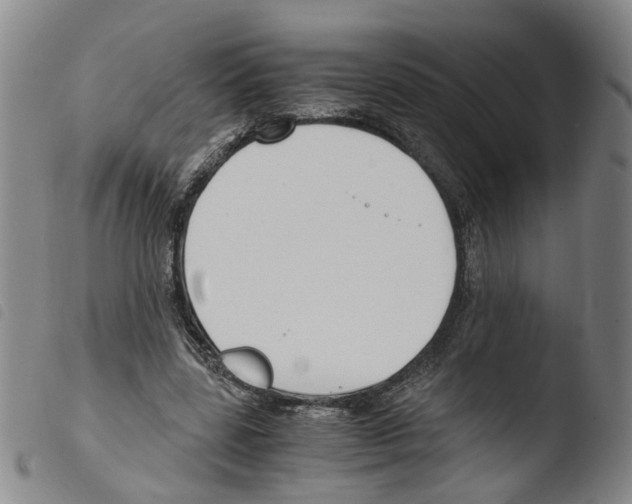 X0000103480539200810241040