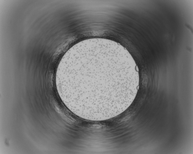 X0000103480542200810241040