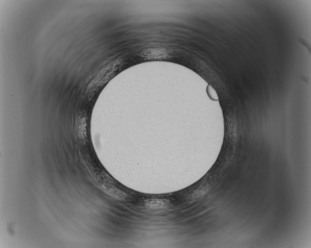 X0000103480549200810241040