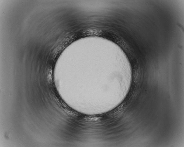 X0000103480553200810241040