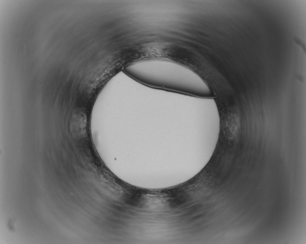 X0000103480556200810241040