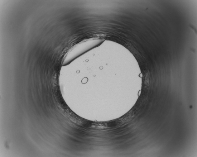 X0000103480559200810241040