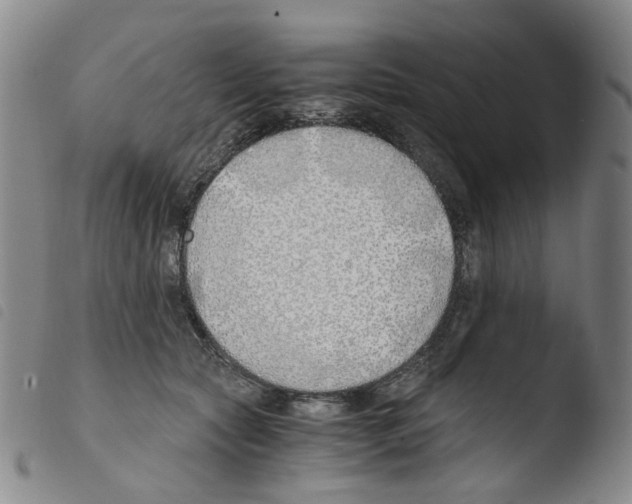 X0000103480561200810241040