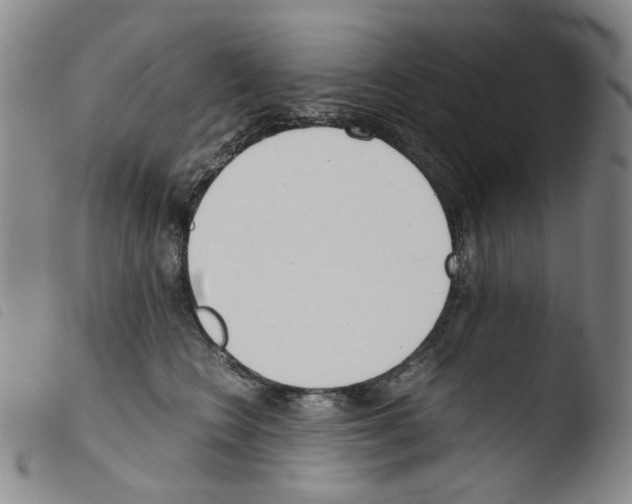 X0000103480566200810241040