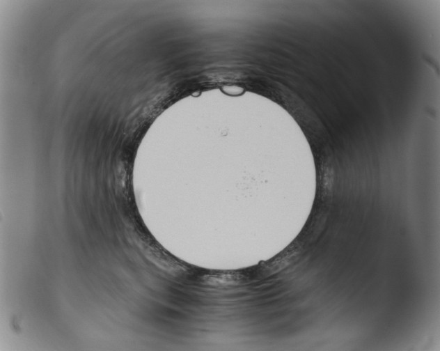 X0000103480567200810241040