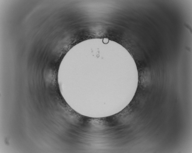 X0000103480568200810241040