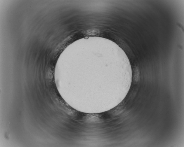 X0000103480569200810241040