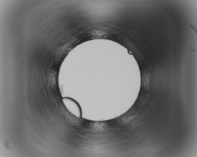 X0000103480570200810241040
