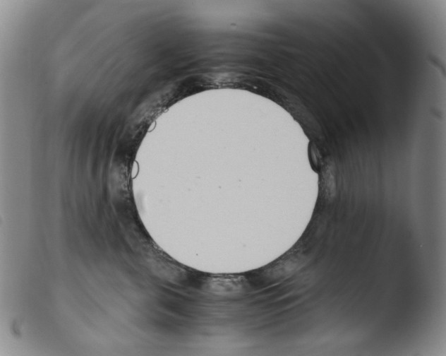 X0000103480571200810241040