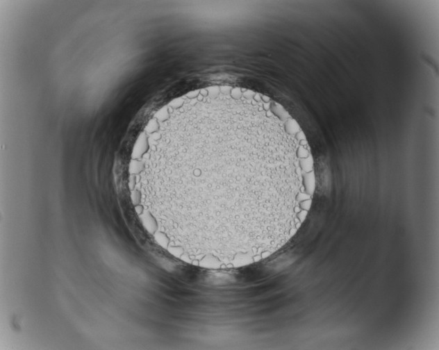 X0000103480573200810241040