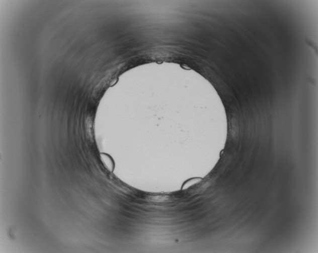 X0000103480575200810241040