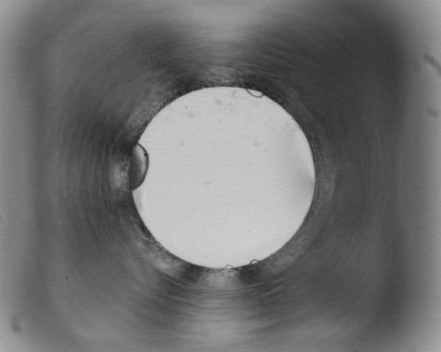 X0000103480576200810241040