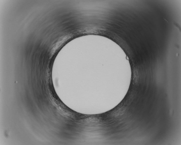 X0000103480578200810241040