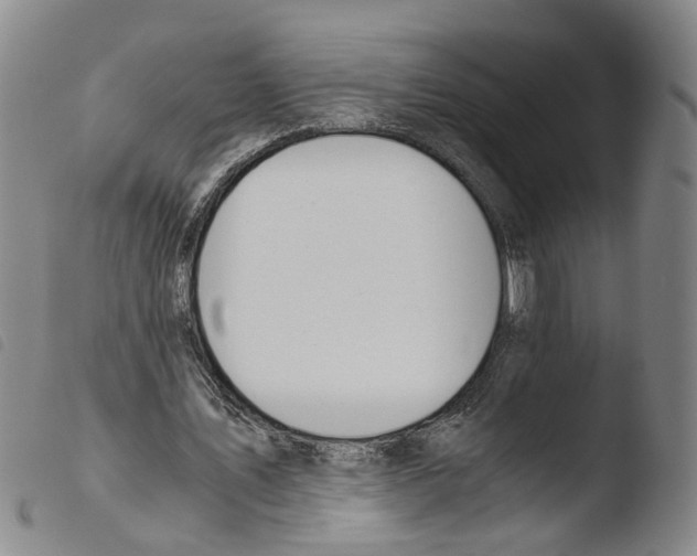 X0000103480579200810241040