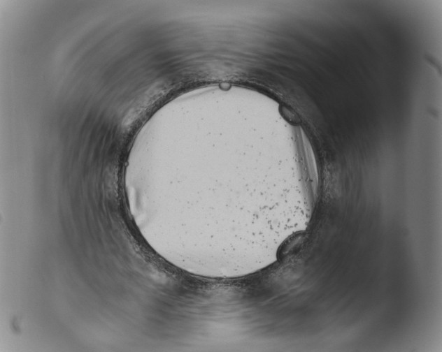 X0000103480581200810241040