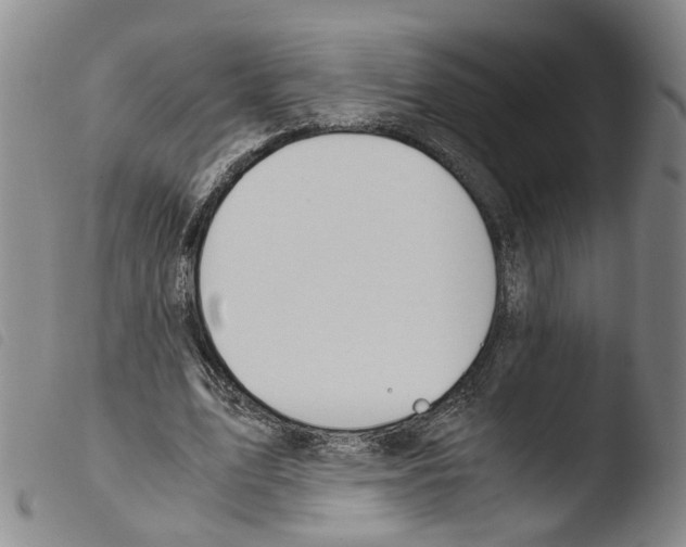 X0000103480583200810241040