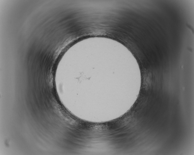 X0000103480584200810241040