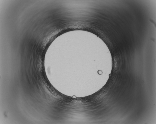 X0000103480588200810241040