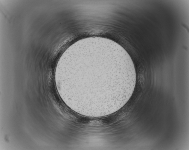X0000103480591200810241040