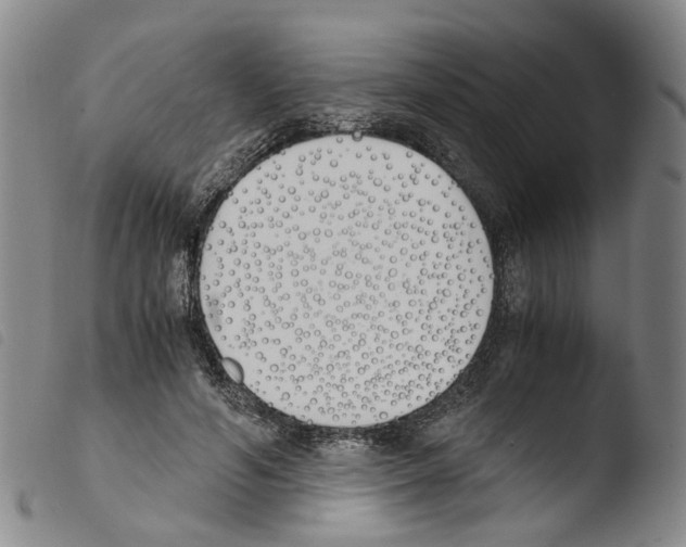 X0000103480594200810241040
