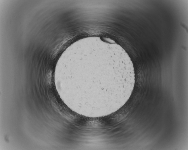 X0000103480596200810241040