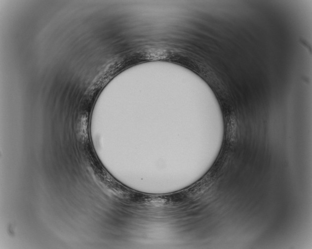 X0000103480598200810241040
