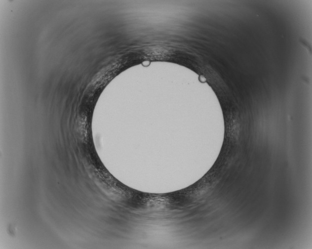 X0000103480599200810241040