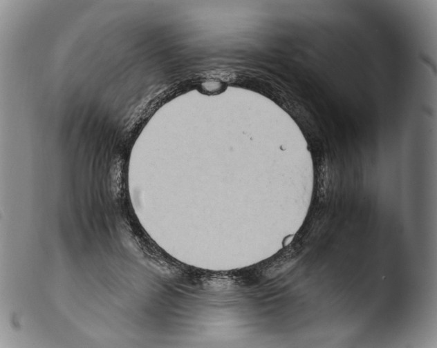 X0000103480600200810241040