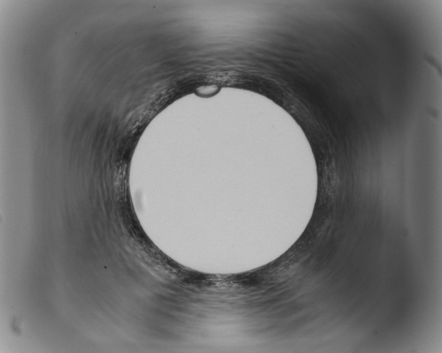 X0000103480601200810241039
