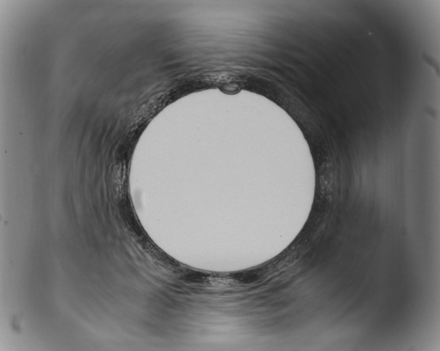 X0000103480605200810241039