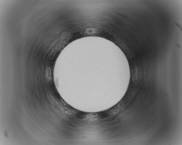 X0000103480606200810241039