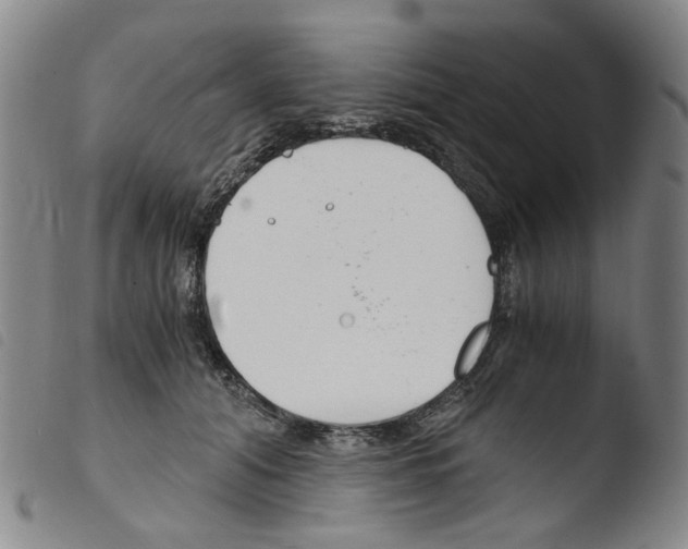 X0000103480608200810241039