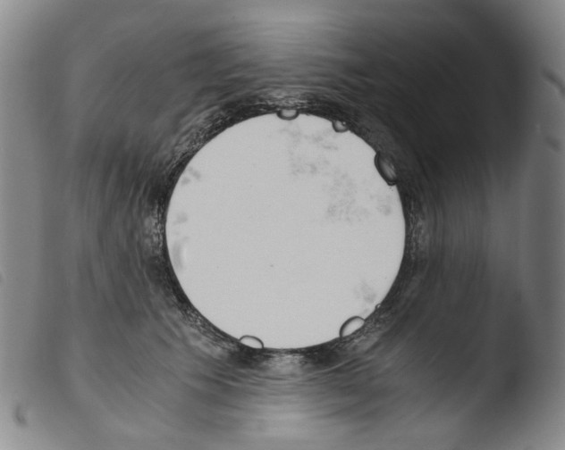 X0000103480609200810241039