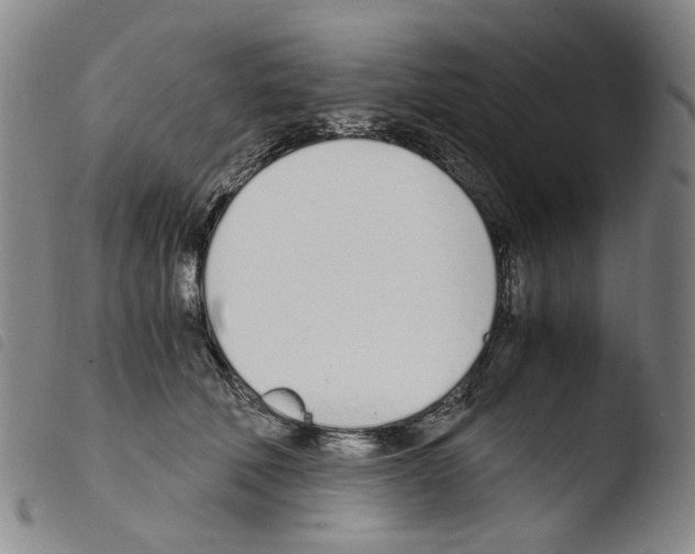 X0000103480610200810241039