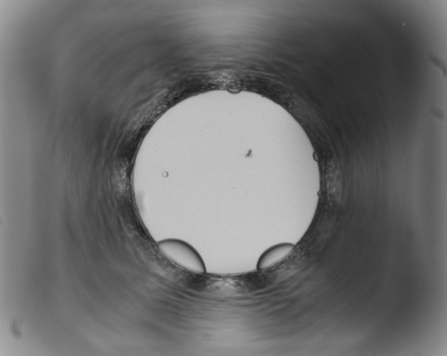X0000103480611200810241039