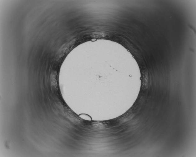 X0000103480616200810241039