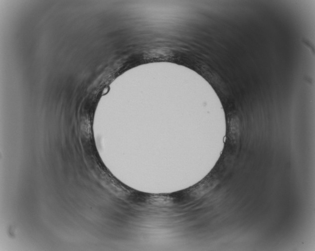 X0000103480617200810241039